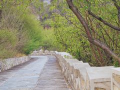 -北京西山国家森林公园