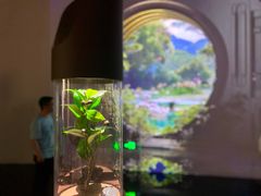 -中国湿地博物馆