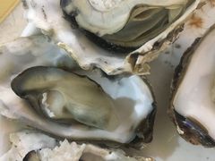 -顺德美食坊(南沙分店)