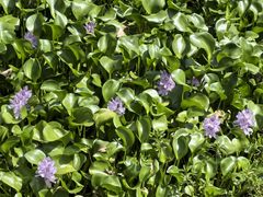 -东钱湖旅游度假区