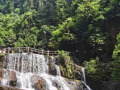-鼎湖山风景区