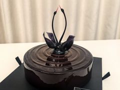 -BLACKSWAN黑天鹅(环球店)