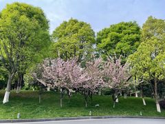 -天目湖御水温泉·度假酒店