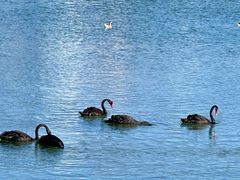 -水上乐园·欢乐世界