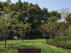 -徐家汇源景区-衡山公园