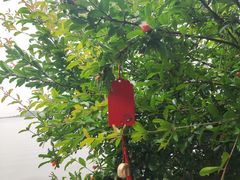 -锦溪古镇