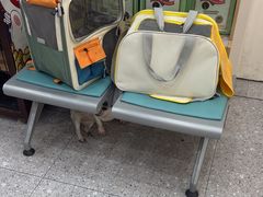 -四月宠物医院·猫专科·心脏专科·内科(转塘店)