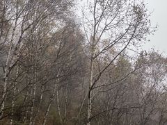 -驼梁风景区