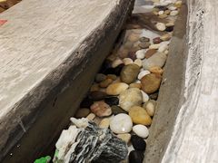 -申鲜大师·简餐(科技生态园店)