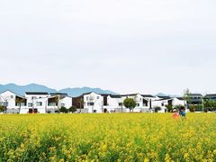 -东梓关景区村庄