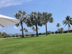 -三亚亚龙湾瑞吉酒店·宴悦Driftwood·游水海鲜·牛排·草坪·私人定制