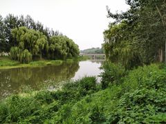 -东郊湿地公园