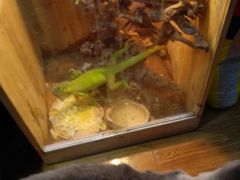 -Rabbit Cafe私房西餐甜点咖啡(栖霞路店)