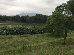 -福建鲤鱼洲酒店