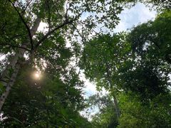 -武吉知马自然保护区