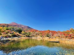 -周口店坡峰岭风景区