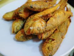 炸小黄花-华春餐馆(鱼山路店)