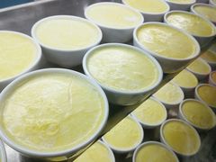 -德禄酸奶(莫家街店)