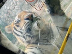 -栾川竹海野生动物园