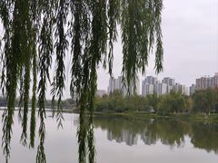 -洋湖国家湿地公园
