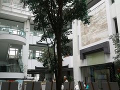 -苏州图书馆(人民路总馆)