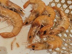 -白金汉爵大酒店·中餐厅(相城店)