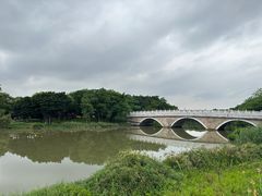-海珠湖公园