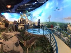 -陕西自然博物馆