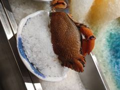 -丰卓会海鲜自助(中润大道店)