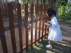 -三亚海棠湾万丽度假酒店