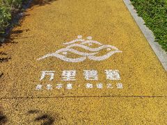 -风云岭森林公园