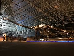 -世界恐龙谷景区