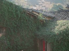 -杨家堂村