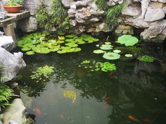 -美味之家·湖景农家乐(太湖东山店)