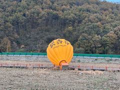 -千年银杏谷文化旅游区