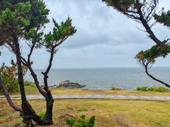 -养马岛旅游度假区