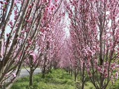 -长广溪湿地公园