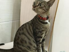 -合味道娟姨美食(堑头店)