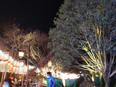 -七彩云南欢乐世界