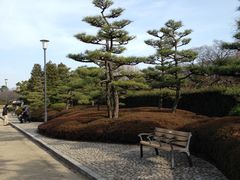 -名古屋城