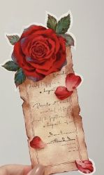 -Oasis Beauty水磨坊科技美肤中心