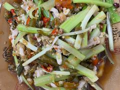 泡椒肉丝-黑白荤豆花(双凤路店)