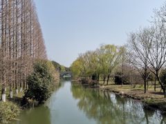-南湖湿地公园