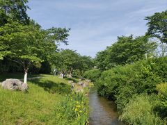 -羊山湖公园
