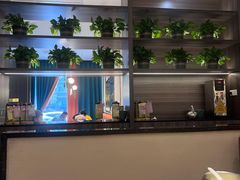 -刘胖子家常菜·蹄花焖藕(中南店)