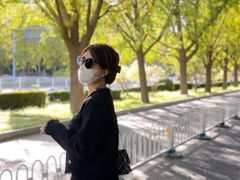 -三里屯东五街银杏大道