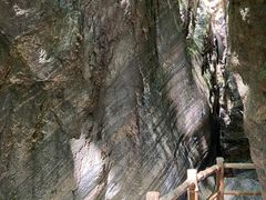 -牛背梁国家森林公园