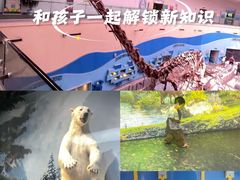 -陕西自然博物馆