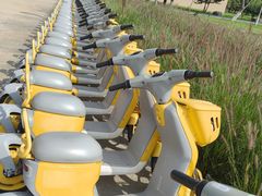 -汉长安城未央宫国家考古遗址公园