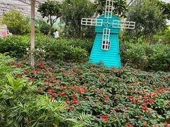 -南宫五洲植物乐园